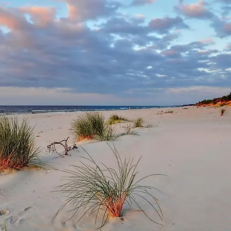 Andar Z Miejscem Parkingowym *