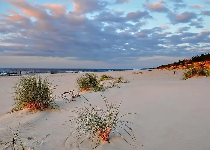 Andar Z Miejscem Parkingowym *